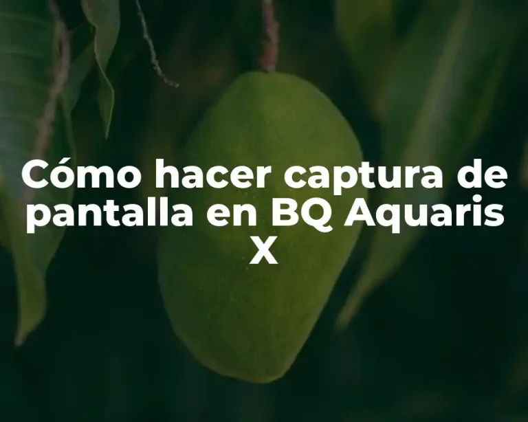 Cómo hacer captura de pantalla en BQ Aquaris X