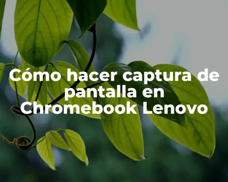 Cómo hacer captura de pantalla en Chromebook Lenovo