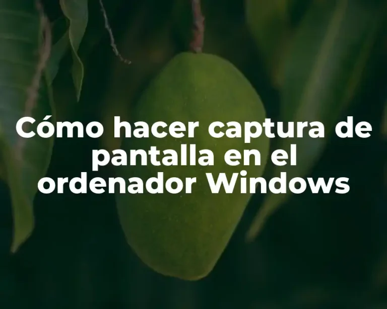 Cómo hacer captura de pantalla en el ordenador Windows
