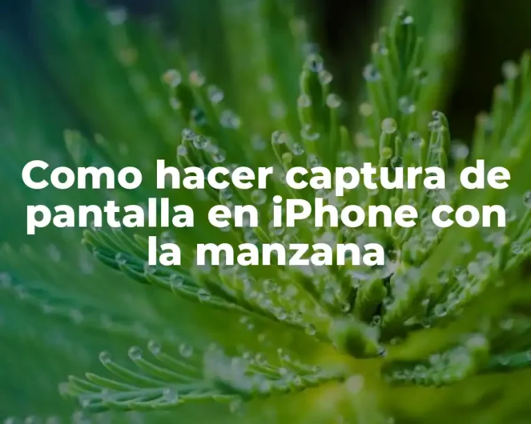 Como hacer captura de pantalla en iPhone con la manzana