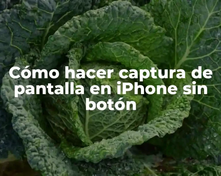 Cómo hacer captura de pantalla en iPhone sin botón