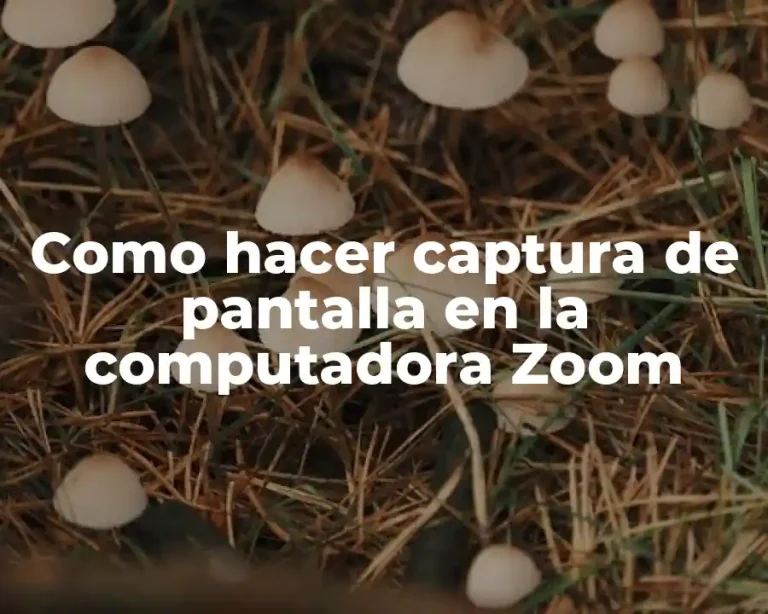 Como hacer captura de pantalla en la computadora Zoom