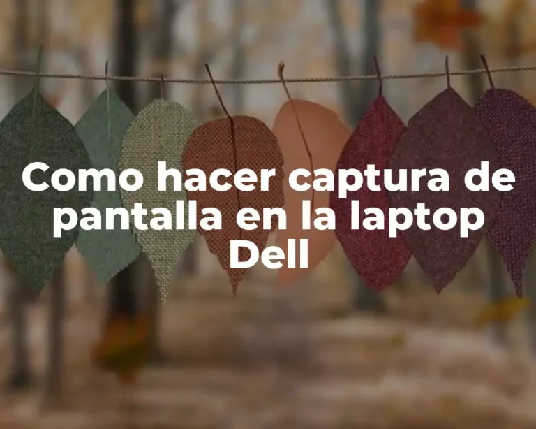 Como hacer captura de pantalla en la laptop Dell
