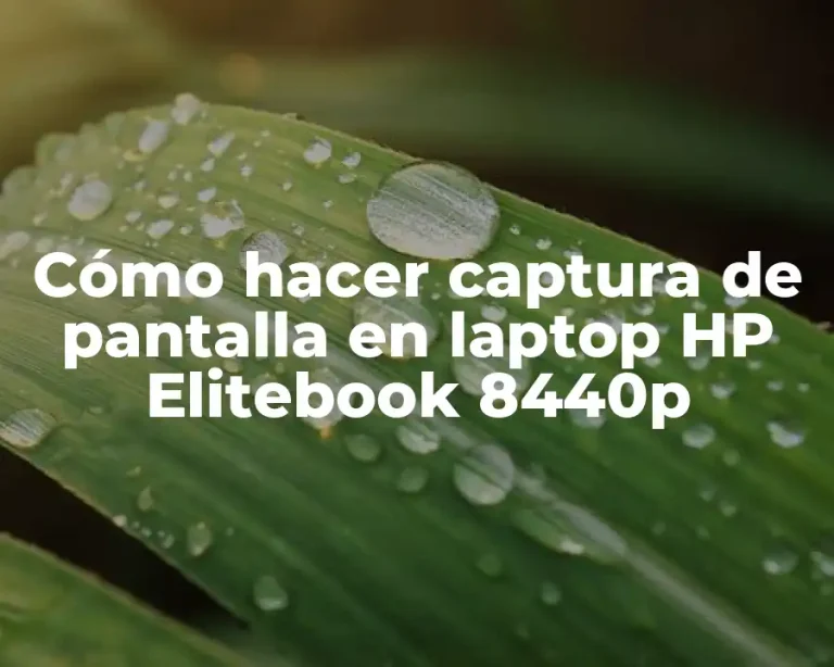 Cómo hacer captura de pantalla en laptop HP Elitebook 8440p
