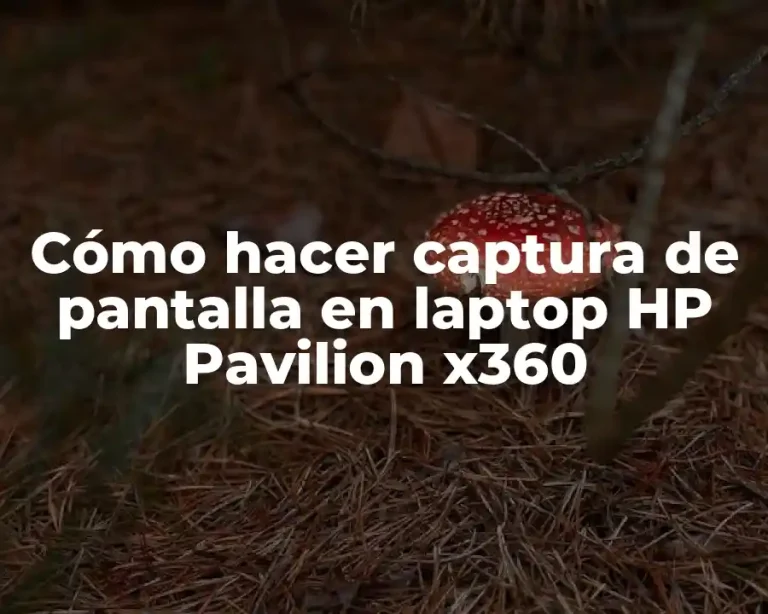 Cómo hacer captura de pantalla en laptop HP Pavilion x360