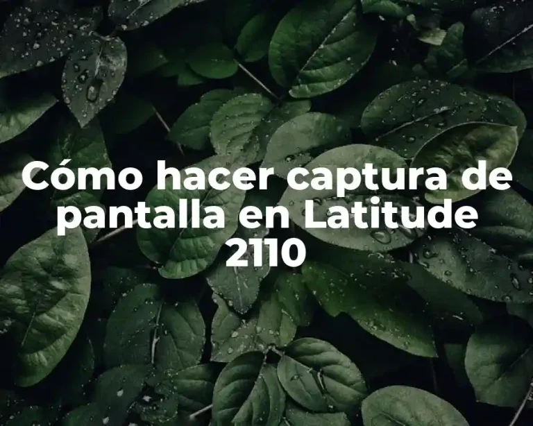 Cómo hacer captura de pantalla en Latitude 2110