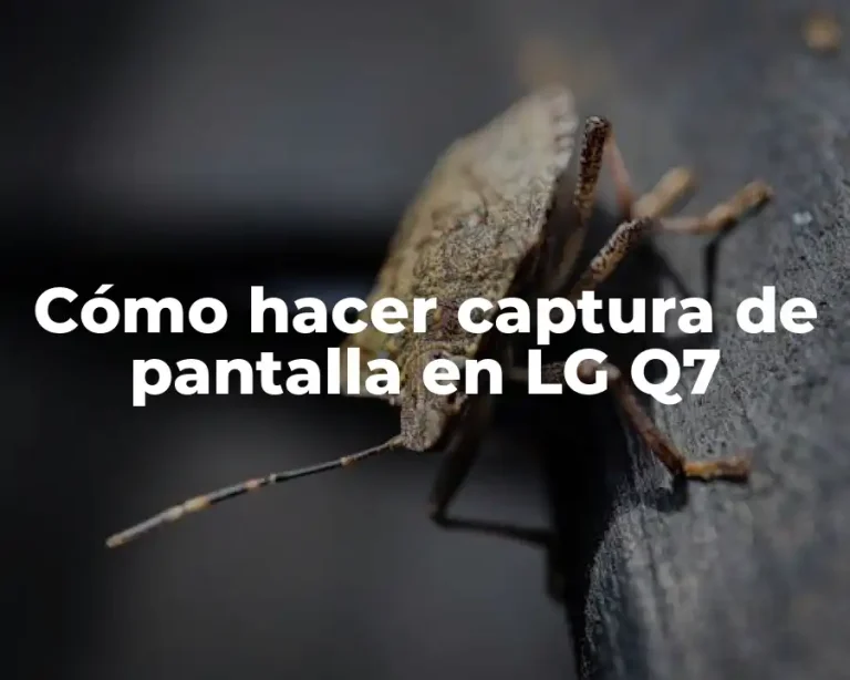 Cómo hacer captura de pantalla en LG Q7