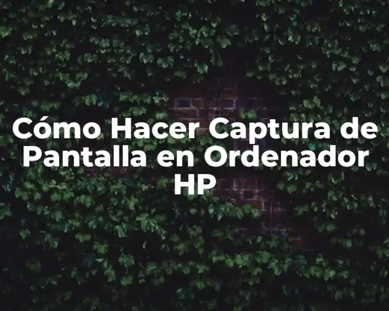 Cómo Hacer Captura de Pantalla en Ordenador HP