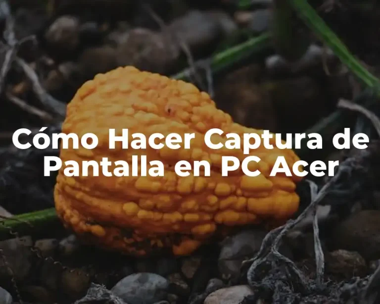 Cómo Hacer Captura de Pantalla en PC Acer