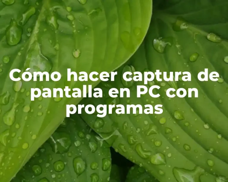Cómo hacer captura de pantalla en PC con programas