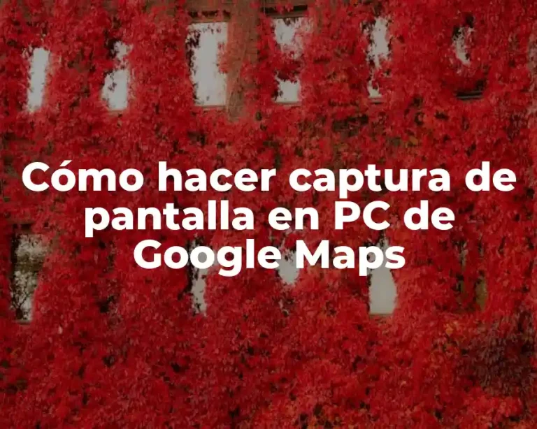 Cómo hacer captura de pantalla en PC de Google Maps