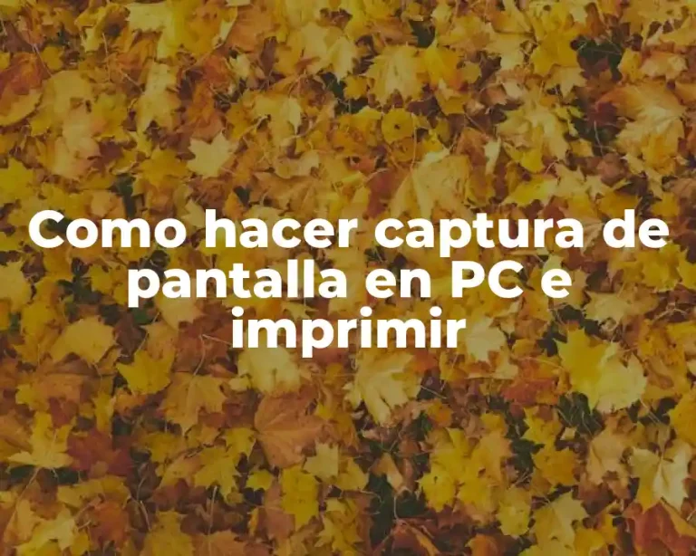 Como hacer captura de pantalla en PC e imprimir