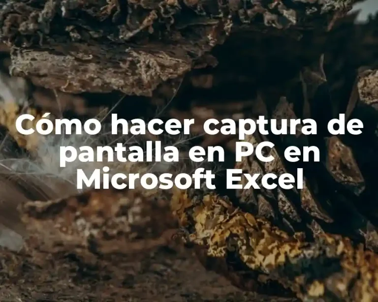 Cómo hacer captura de pantalla en PC en Microsoft Excel
