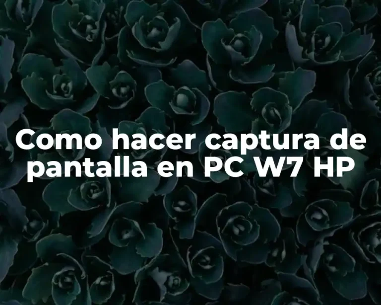 Como hacer captura de pantalla en PC W7 HP