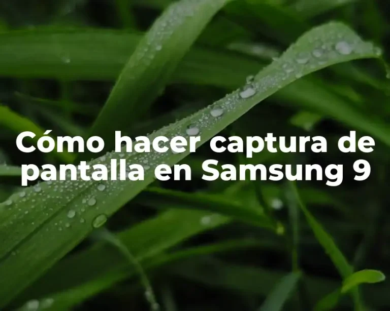 Cómo hacer captura de pantalla en Samsung 9