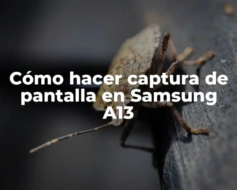 Cómo hacer captura de pantalla en Samsung A13