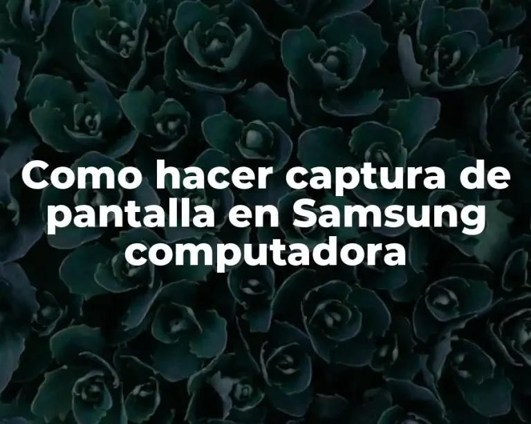 Como hacer captura de pantalla en Samsung computadora