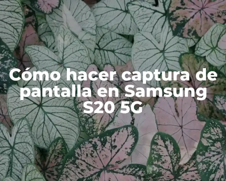 Cómo hacer captura de pantalla en Samsung S20 5G