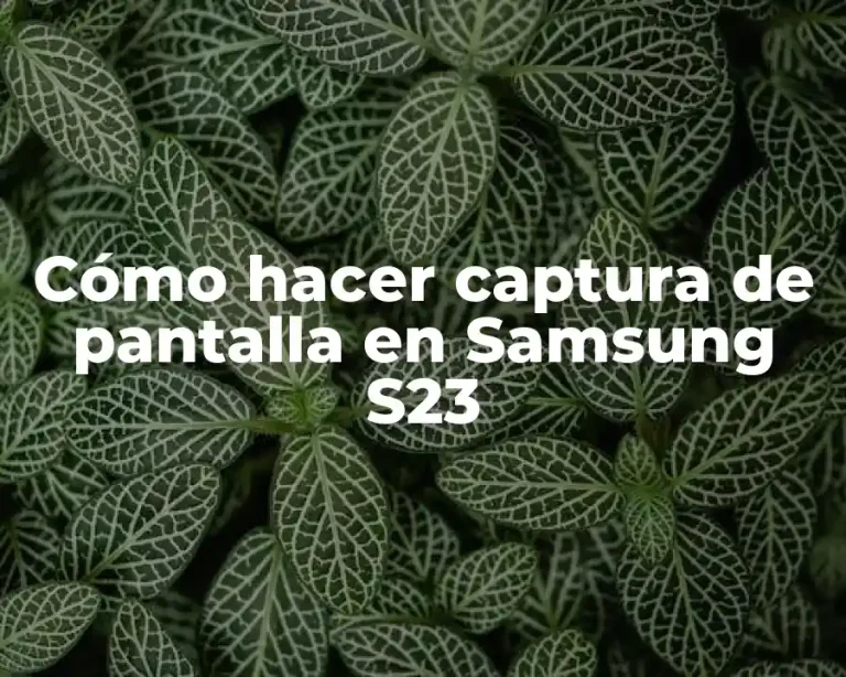 Cómo hacer captura de pantalla en Samsung S23