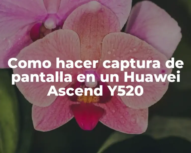 Como hacer captura de pantalla en un Huawei Ascend Y520