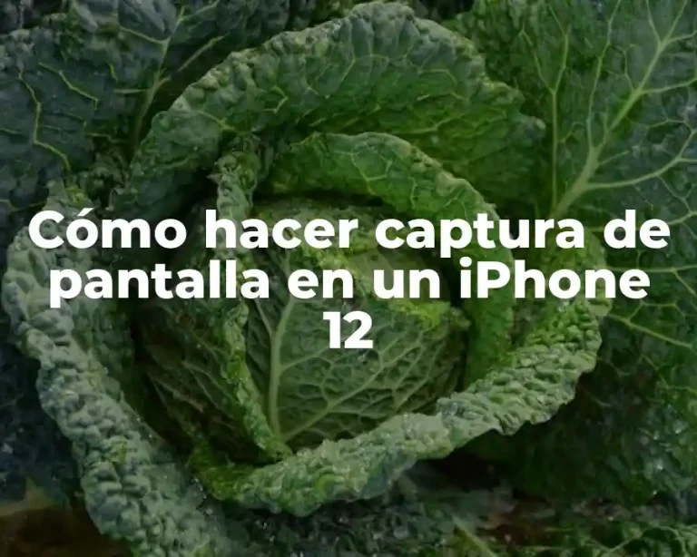 Cómo hacer captura de pantalla en un iPhone 12