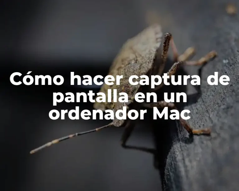 Cómo hacer captura de pantalla en un ordenador Mac