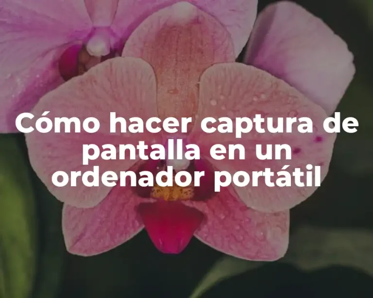 Cómo hacer captura de pantalla en un ordenador portátil