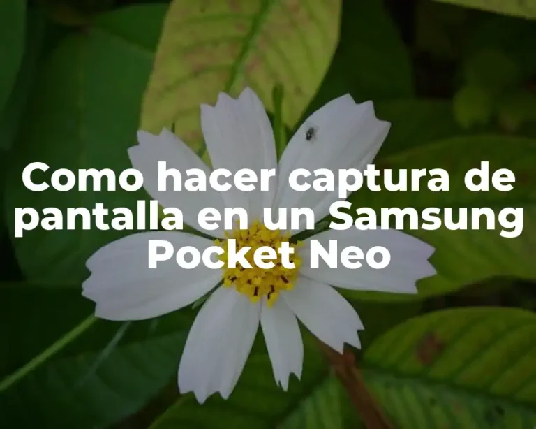 Como hacer captura de pantalla en un Samsung Pocket Neo