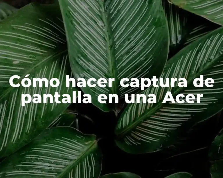 Cómo hacer captura de pantalla en una Acer
