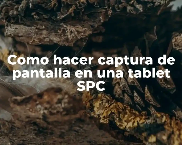 Como hacer captura de pantalla en una tablet SPC