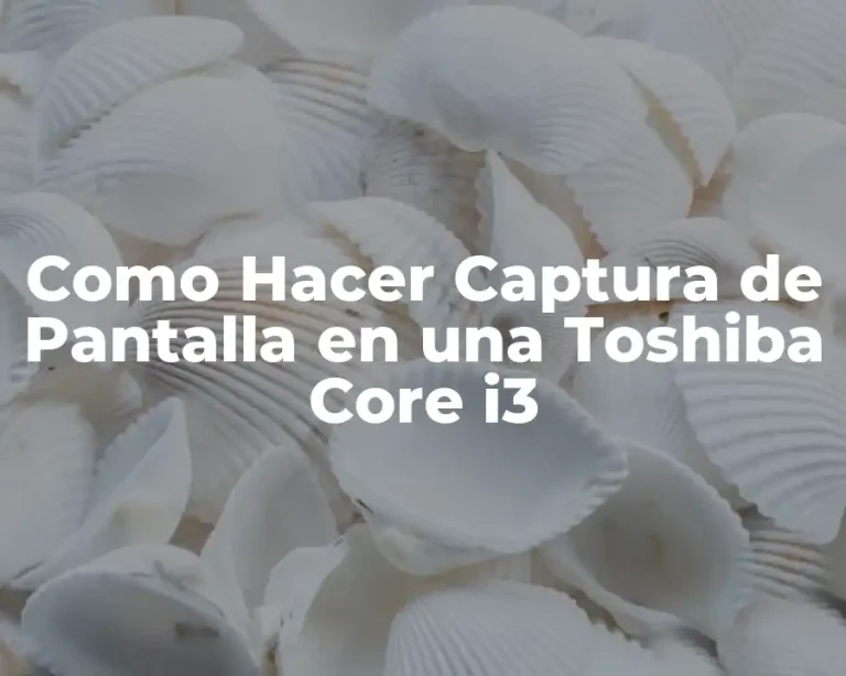 Como Hacer Captura de Pantalla en una Toshiba Core i3