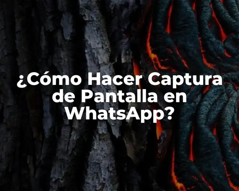 ¿Cómo Hacer Captura de Pantalla en WhatsApp?