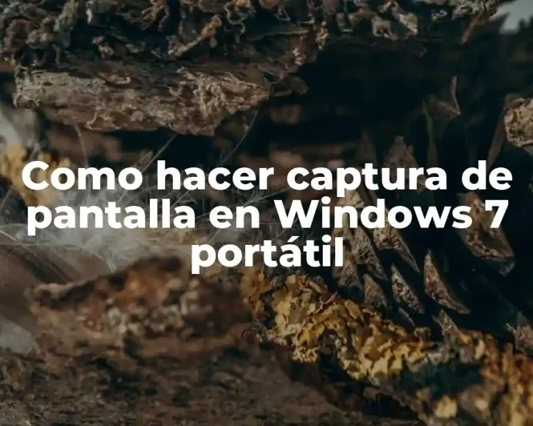 Como hacer captura de pantalla en Windows 7 portátil