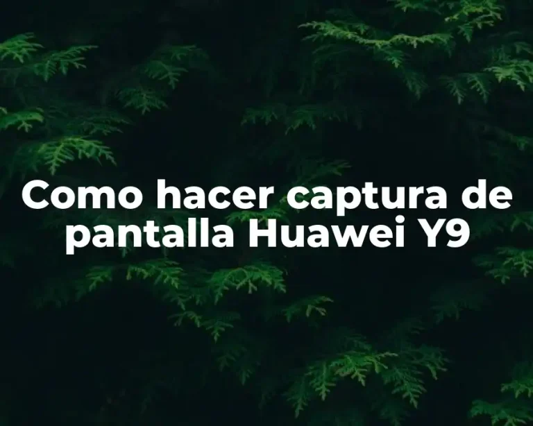 Como hacer captura de pantalla Huawei Y9