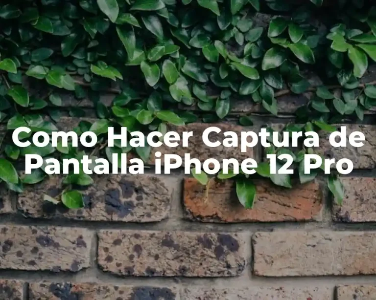 Como Hacer Captura de Pantalla iPhone 12 Pro