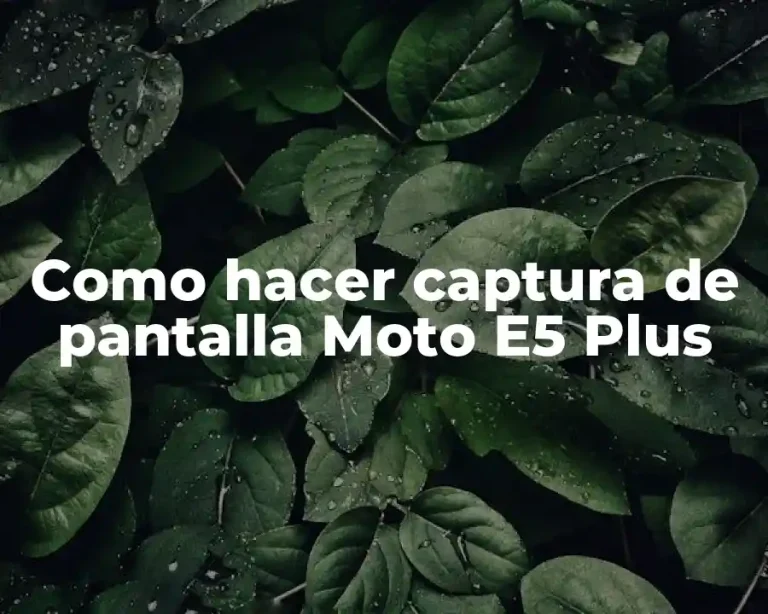 Como hacer captura de pantalla Moto E5 Plus