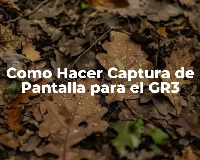Como Hacer Captura de Pantalla para el GR3