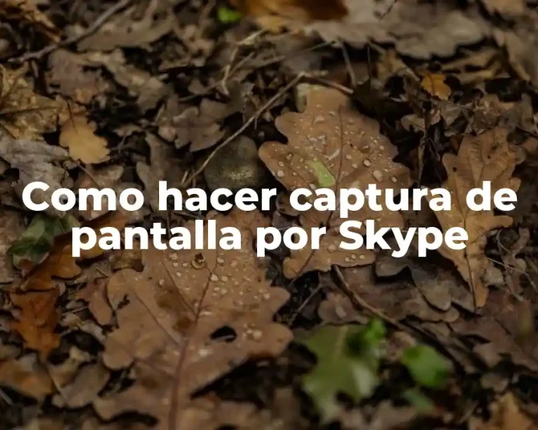 Como hacer captura de pantalla por Skype