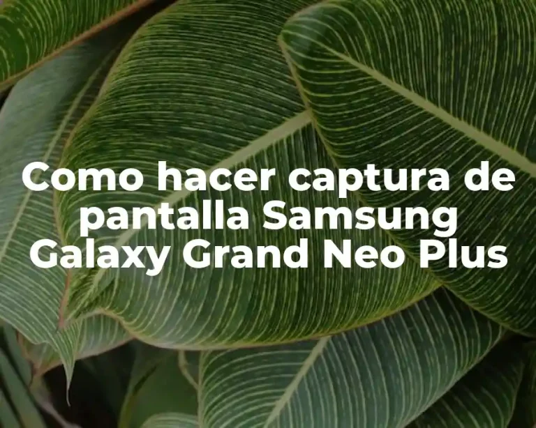 Como hacer captura de pantalla Samsung Galaxy Grand Neo Plus