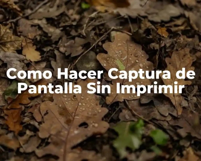 Como Hacer Captura de Pantalla Sin Imprimir