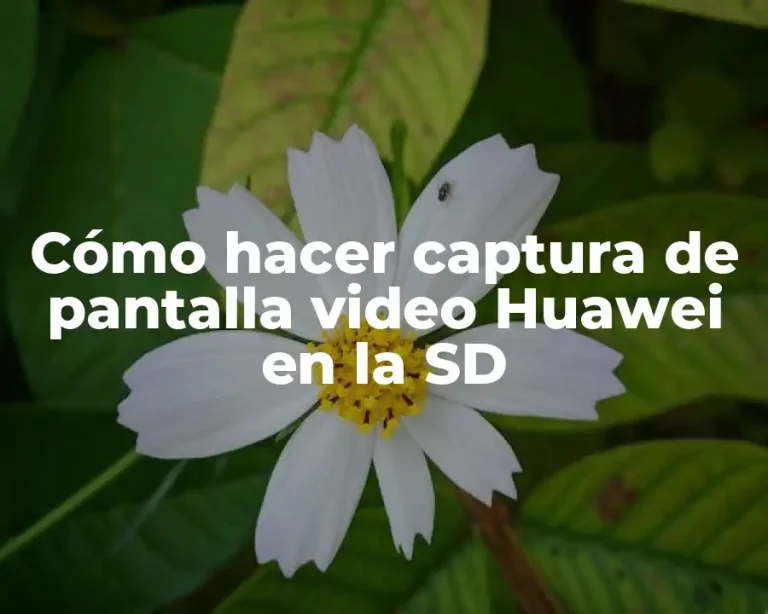 Cómo hacer captura de pantalla video Huawei en la SD