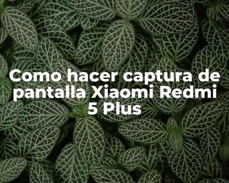 Como hacer captura de pantalla Xiaomi Redmi 5 Plus