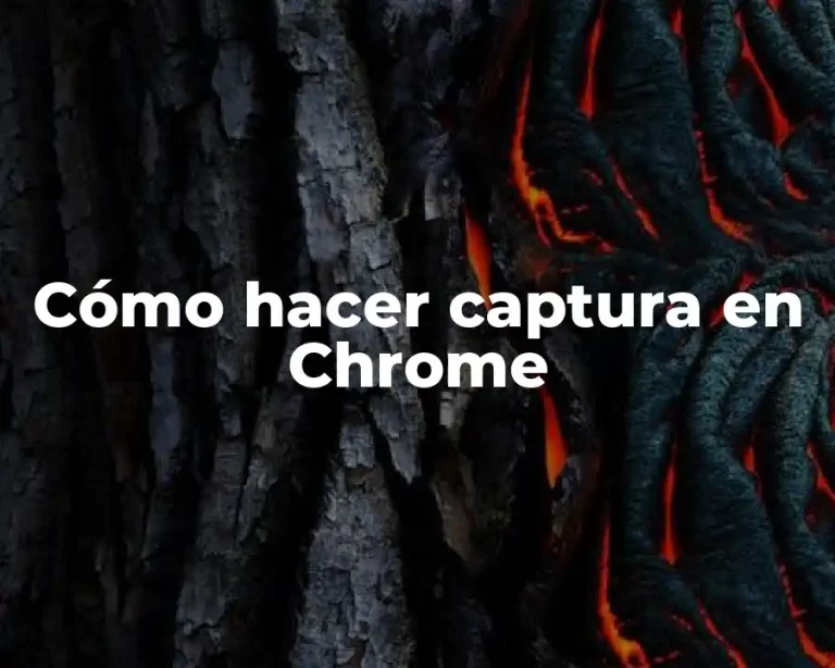 Cómo hacer captura en Chrome