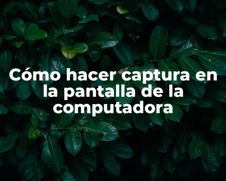 Cómo hacer captura en la pantalla de la computadora