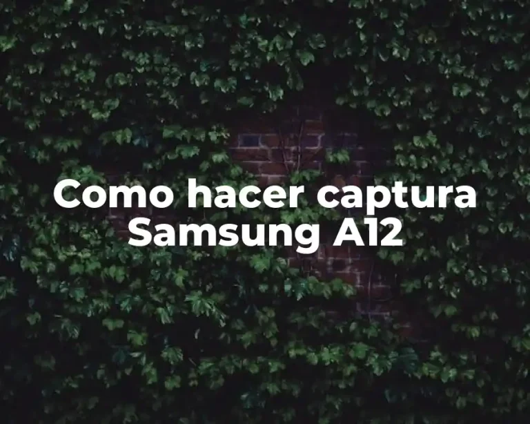 Como hacer captura Samsung A12