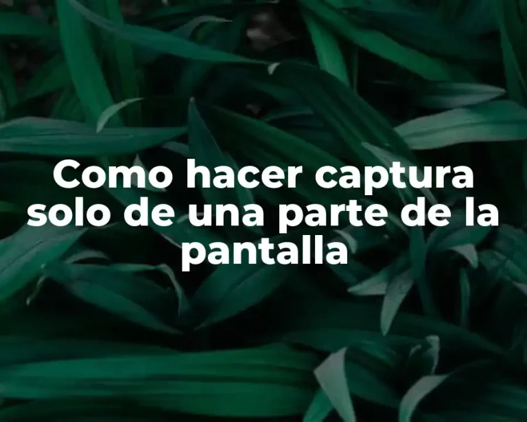 Como hacer captura solo de una parte de la pantalla