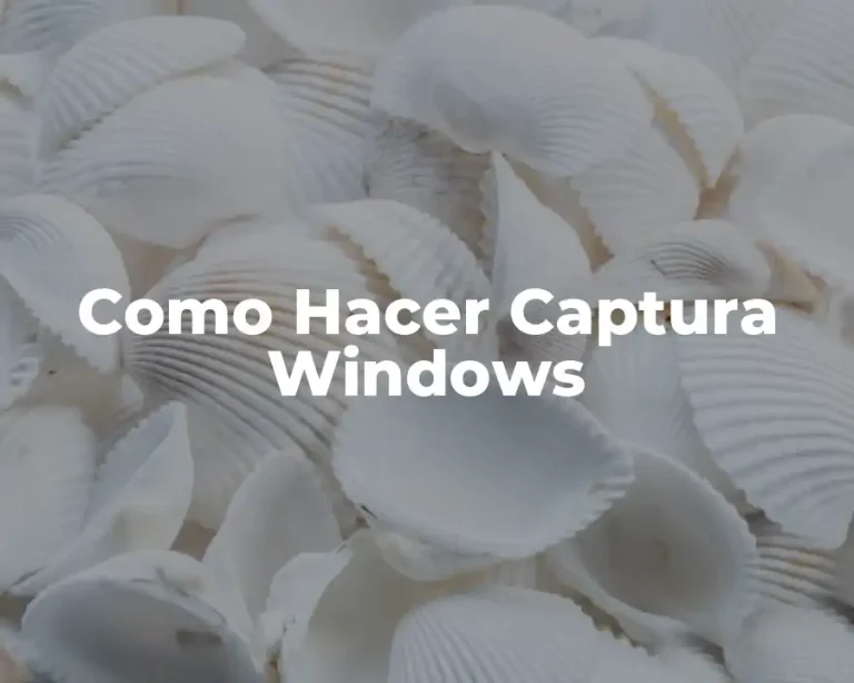 Como Hacer Captura Windows