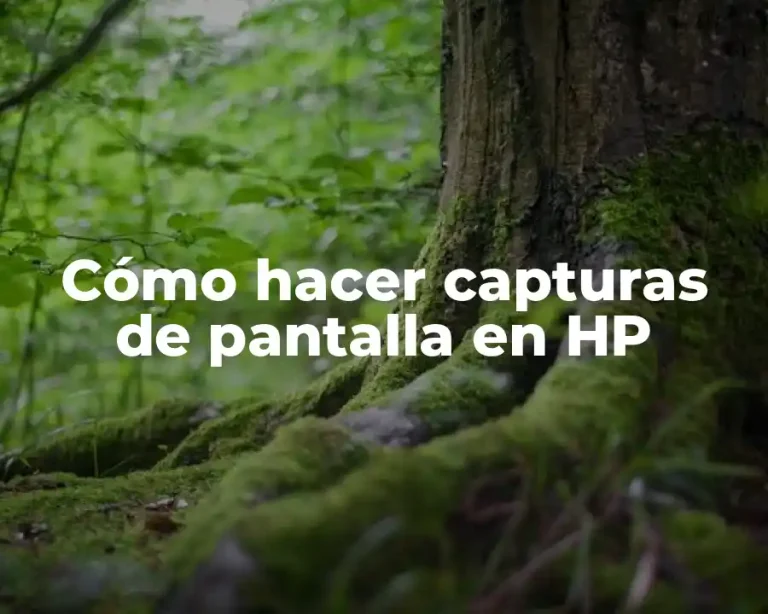 Cómo hacer capturas de pantalla en HP