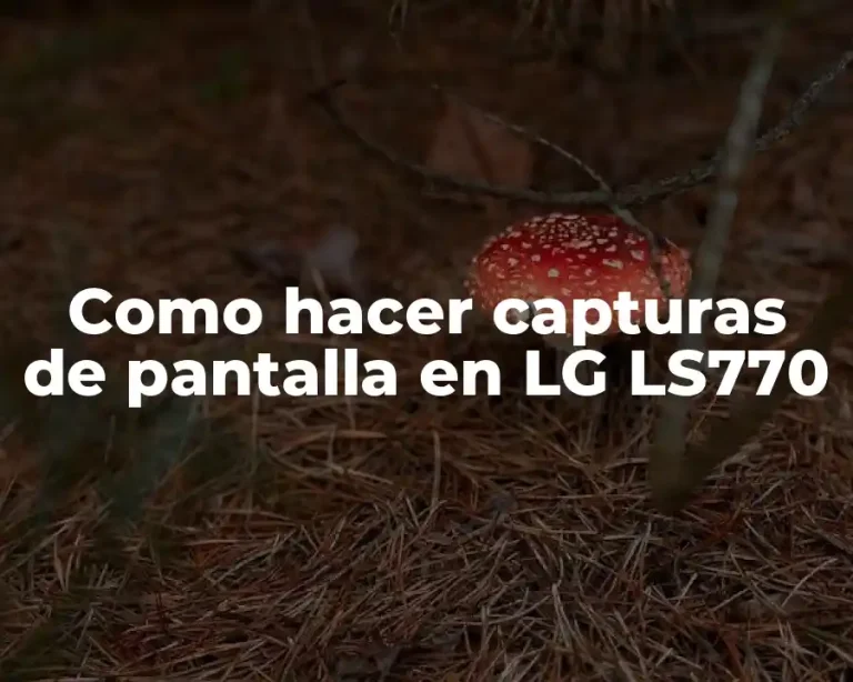 Como hacer capturas de pantalla en LG LS770