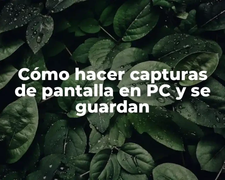 Cómo hacer capturas de pantalla en PC y se guardan